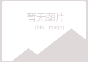 伊春晓夏咨询有限公司